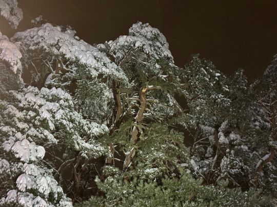 Technischer Hilfeleistungseinsatz