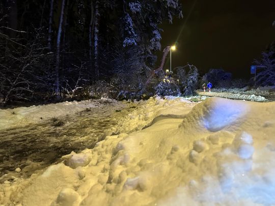 Technischer Hilfeleistungseinsatz