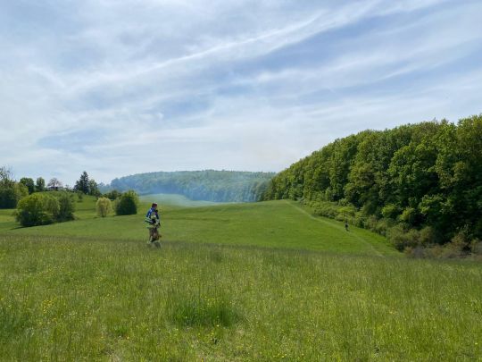 Brandeinsatz